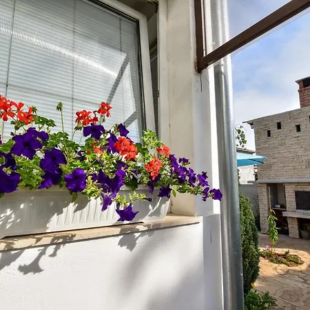 Apartment Nena